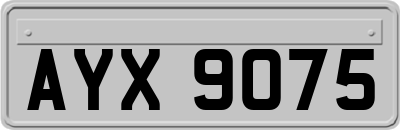 AYX9075