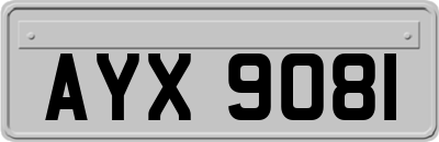 AYX9081