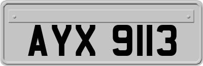 AYX9113