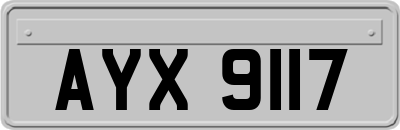 AYX9117