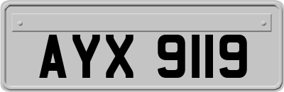 AYX9119