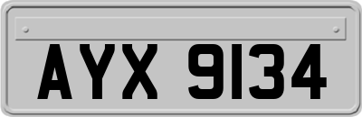 AYX9134