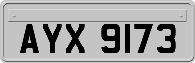 AYX9173