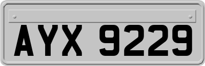AYX9229