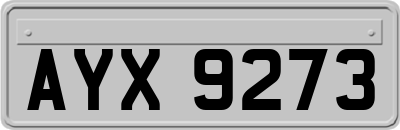 AYX9273