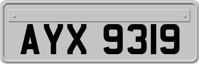AYX9319