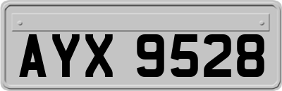 AYX9528