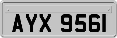 AYX9561