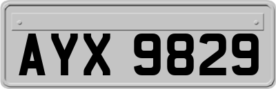 AYX9829