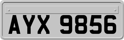 AYX9856