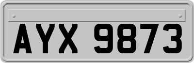 AYX9873