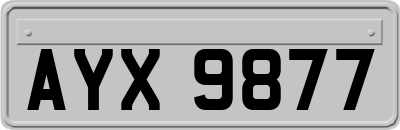 AYX9877