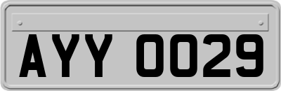 AYY0029