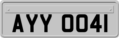 AYY0041