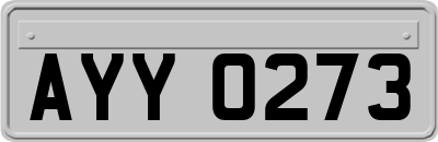 AYY0273