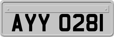 AYY0281