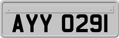 AYY0291
