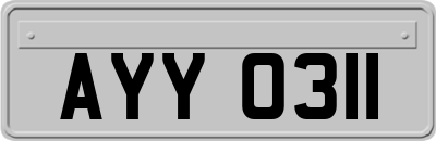 AYY0311