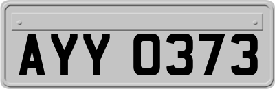 AYY0373