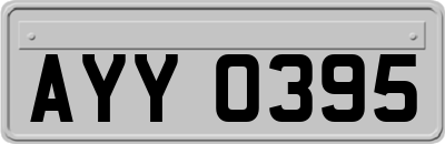 AYY0395