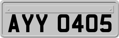 AYY0405
