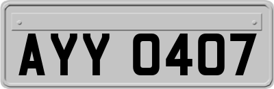AYY0407