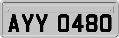 AYY0480