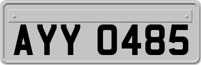 AYY0485