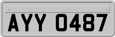AYY0487