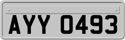 AYY0493