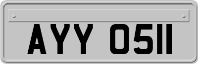 AYY0511