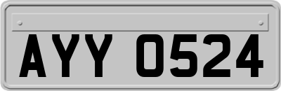 AYY0524
