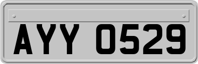 AYY0529