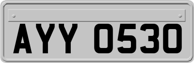 AYY0530