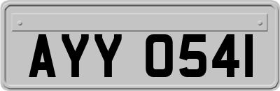 AYY0541