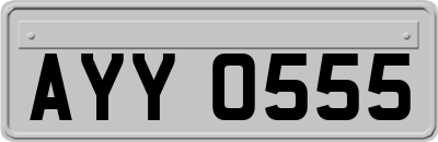 AYY0555