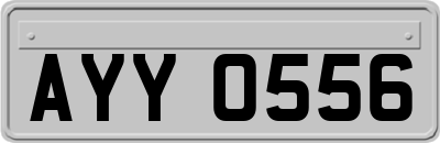AYY0556
