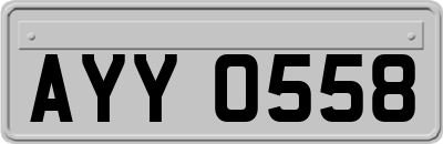 AYY0558