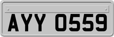 AYY0559