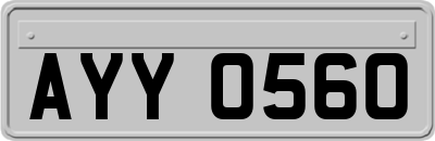 AYY0560