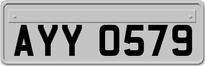 AYY0579