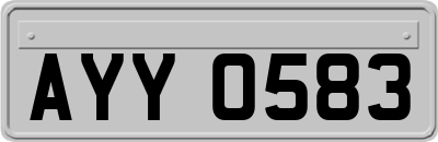AYY0583
