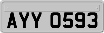 AYY0593