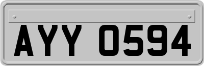 AYY0594