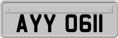 AYY0611