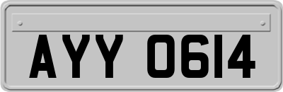 AYY0614