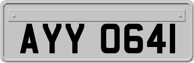 AYY0641