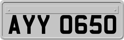 AYY0650