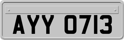 AYY0713