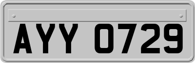 AYY0729